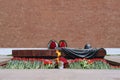 Monument Grave Unknown Soldier background red wall. Royalty Free Stock Photo