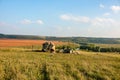 The monument of nature is megalith `Horse Stone` Kon kamen in the valley of the Krasivaya Mecha River