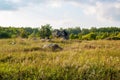 The monument of nature is megalith `Horse Stone` Kon kamen in the valley of the Krasivaya Mecha River