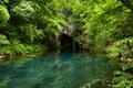 Monument of nature, spring of river Krupaja or Krupajsko vrelo with underwater cave. Beautiful natural oasis and tourist