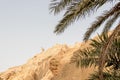 Monument of sheep and palms trees in mountains Atlas, Tunisia, Africa Royalty Free Stock Photo