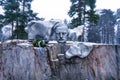 Monument of Sibelius in Helsinki Royalty Free Stock Photo