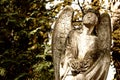 Monument to an angel on a cemetery Royalty Free Stock Photo