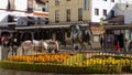 Monument to the bull-Ronda ANDALUSIA-SPAIN