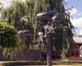 Monument to the kitten from the street Lizyukova , Voronezh, Russia