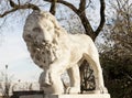 Monument to a lion, the king of animals made of stone, a symbol of power and prosperity