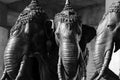 Monument to three elephants in Thailand Royalty Free Stock Photo
