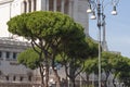 Monument to Victor Emmanuel II or Vittoriano, Rome, Italy. It is landmark of Rome. Beautiful view of Memorial of Royalty Free Stock Photo