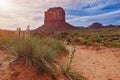 Monument Valley, Navajo tribal park, famous desert landscape, USA - springtime and blooming yuccas Royalty Free Stock Photo