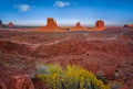 Monument Valley sunset with yellow plant Royalty Free Stock Photo