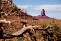 Monument Valley view is the desert