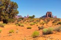 Monument Valley West and East Mittens Butte Utah National Park