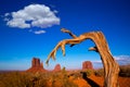 Monument Valley West and East Mittens and Merrick Butte