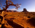 Monument West Mitten Butte in morning Utah Royalty Free Stock Photo