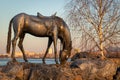 Monument `White Horse` in Krasnoyarsk, Russia