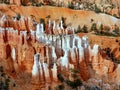 US National Parks, Bryce Canyon National Park, Utah Royalty Free Stock Photo