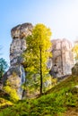 Monumental sandstone rock formation in the miidle of spring forest of Bohemian Paradise, Czech: Cesky raj, Czech