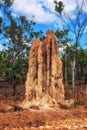 Monumental termite mound in Kakadu National Park, Northern Australia Royalty Free Stock Photo