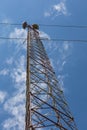 Monumental view of a telecommunications tower structure, microwave antennae, blue sky