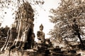 Monuments of buddah, ruins of Ayutthaya Royalty Free Stock Photo