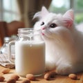 Moo-velous meow-ments: a cat's curious encounter with milk in a jar