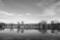 Moochrome shot of the fall trees along the lake Royalty Free Stock Photo