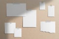 Moodboard template composition with blank photo cards, torn paper, square frame glued with adhesive tape on coffee color Royalty Free Stock Photo