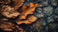 Moody Autumn Leaves On Tree Bark: Nature-inspired Installations