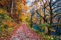 Moody autumn scene of Vorderer/Gosausee lake. Amazing morning view of Austrian Alps, Upper Austria, Europe. Beauty of nature conce