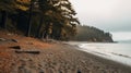 Moody Beachscape With Deciduous Trees And Rainy Weather