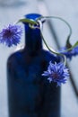 Moody blue flower with bottle in background