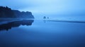 Moody Blue Hour Beach Landscape Royalty Free Stock Photo