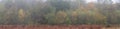 Moody blurred atmospheric woodland Autumn Fall landscape image with mystical ethereal feel for use as background image Royalty Free Stock Photo