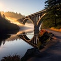 moody bridge over water in the forest creates an enchanting atmosphere where nature\'s beauty shines.