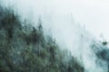 Moody cloudy, foggy forest during summer, autumn, amazing background with mood.