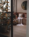 Moody covered balcony Interior fall themed and cosy feeling with wooden floor Royalty Free Stock Photo