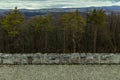 Moody creepy autumn forest background scenic view cloudy gray sky and paved road walking side foreground space without people