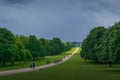 A Moody Day at The Long Walk in Windsor Great Park Royalty Free Stock Photo