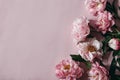 Moody decorative floral corner, banner made of peonies flowers, petals isolated on pink table background. Empty copy