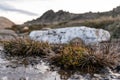 Moody evening close-up shot of an alpine pond with grass details and a white rock near the summit of Mount Kosciuszko Royalty Free Stock Photo