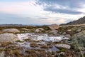 Moody evening close-up shot of an alpine pond with grass details and a white rock near the summit of Mount Kosciuszko Royalty Free Stock Photo