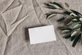 Moody feminine wedding stationery mock-up scene. Blank greeting, business card and green olive leaves, branches on linen