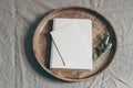 Moody feminine wedding stationery mock-up scene. Blank greeting card, notepad and green olive branch on wooden tray