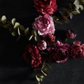 Moody floral concept - flower on dark textured background, square composition Royalty Free Stock Photo