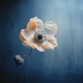 Moody Flower: Blurry Analog Photograph Of A Single Anemone