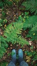 Moody forest, Top view, Fern leaves, Rustic boots