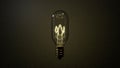 Moody glowing incandescent light bulb