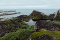 Moody grey arctic coast with sea view - slope of granite shore with smooth rocks and lush green meadow, Barents Sea in haze.