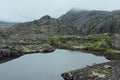 Moody grey arctic landscape with slope of granite smooth rocks with lush green moss around quiet lake in haze in overcast weather.