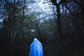 A moody horror edit of a blurred, dark ghostly figure Standing by a gate in a forest Royalty Free Stock Photo